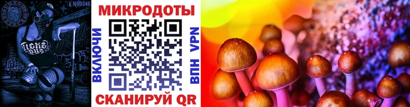 Галлюциногенные грибы MAGIC MUSHROOMS  купить наркотик  Яранск 